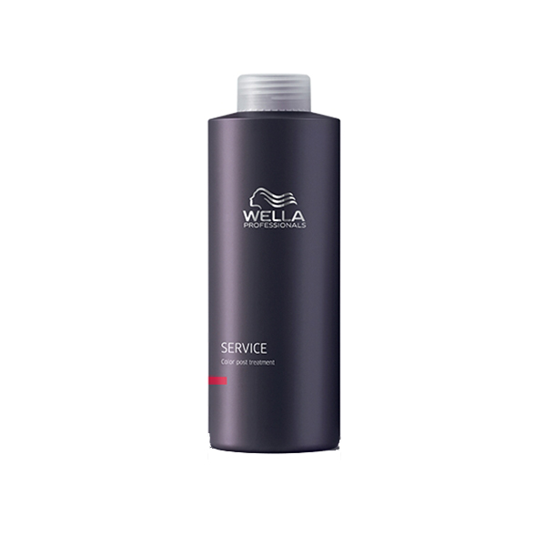 WP SERVICE Color Post Treatment 1000ml