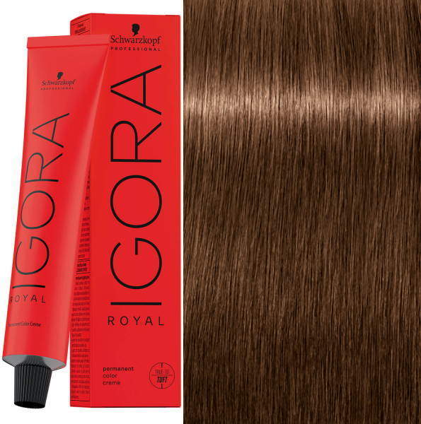 Igora Royal 6-65 Dunkelblond Schoko Gold 60ml