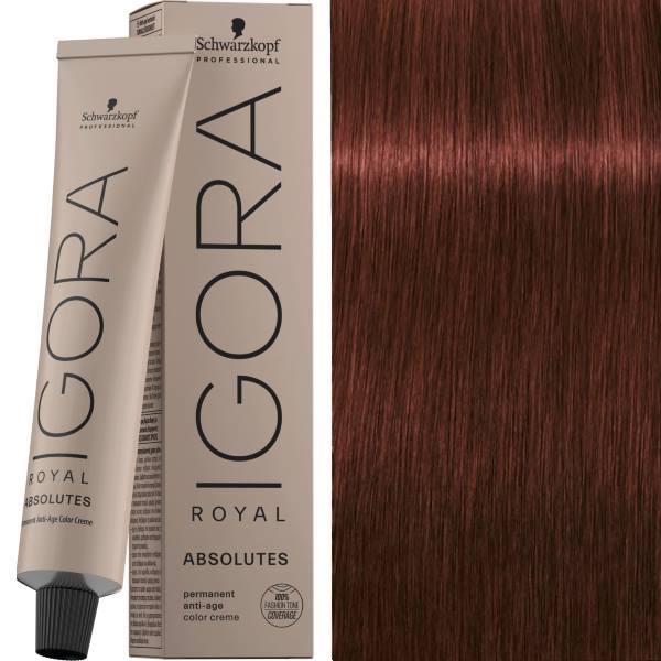 Igora Royal Absolutes 6-80 Dunkelblond Rot Natur 60ml